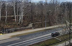 Przy Lazurowej powstał "psi park"