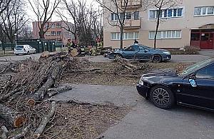 Uszkodzone auta, zagrożone przedszkole. Liczą straty po wichurze