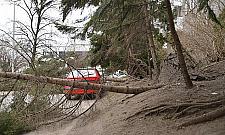 Uszkodzone auta, zagrożone przedszkole. Liczą straty po wichurze