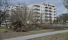 Uszkodzone auta, zagrożone przedszkole. Liczą straty po wichurze