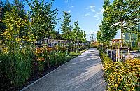 "Park kieszonkowy" tuż obok Galerii Bemowo?