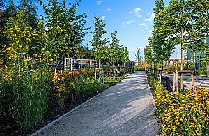 "Park kieszonkowy" tuż obok Galerii Bemowo?