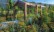 "Park kieszonkowy" tuż obok Galerii Bemowo?