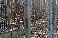 Złodziej rozbierał ogrodzenie. Łup porzucił przy drodze