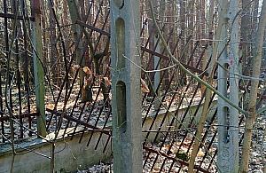 Złodziej rozbierał ogrodzenie. Łup porzucił przy drodze