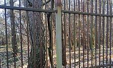 Złodziej rozbierał ogrodzenie. Łup porzucił przy drodze