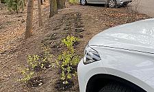 Spór o parkowanie na Boernerowie. "Burzy ład przestrzenny"