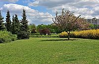 Aktywiści: "Zbudują w parku drogę pożarową". Nowa afera na Bródnie