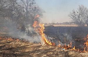 Wokół Warszawy płoną łąki i pola. Powód? Wypalanie traw