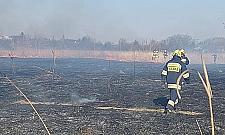 Wokół Warszawy płoną łąki i pola. Powód? Wypalanie traw