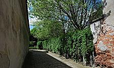 Bezcenny ogród w sercu Warszawy. Nie zmienił się od czterech stuleci