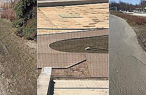 Mieszkaniec: park Bródnowski został zdewastowany. Urząd: trwają drobne naprawy