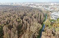 Chcą ochrony Zakola Wawerskiego. Zebrali 4000 podpisów