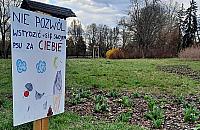 Na Bielanach dzieci uczą dorosłych. "Nie pozwól wstydzić się psu"