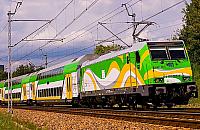 Koleje Mazowieckie ruszają nad Bałtyk. Po dwóch latach przerwy