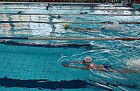 Bezpłatne pływanie na Bemowie? Sporo pomysłów dla Pingwina