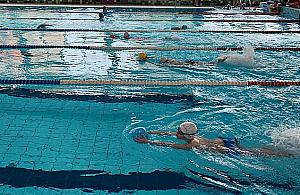 Bezpłatne pływanie na Bemowie? Sporo pomysłów dla Pingwina