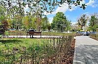 Skwer Falskiej jak nowy. Stare Bielany polecają się na spacer