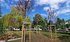 Skwer Falskiej jak nowy. Stare Bielany polecają się na spacer