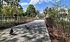 Skwer Falskiej jak nowy. Stare Bielany polecają się na spacer