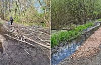 Las Bemowski: mieszkaniec samodzielnie utwardził błotnistą ścieżkę