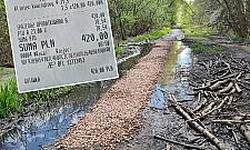 Las Bemowski: mieszkaniec samodzielnie utwardził błotnistą ścieżkę