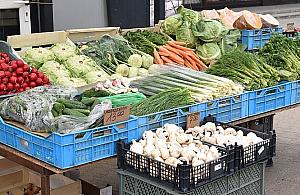 "Kupuj od rolnika". Nowe stoiska na bródnowskim bazarze