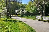 Nowa moda w stolicy. Urzędnicy muszą się tłumaczyć z... koszenia trawy