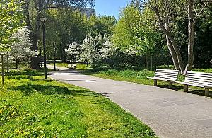 Nowa moda w stolicy. Urzędnicy muszą się tłumaczyć z... koszenia trawy