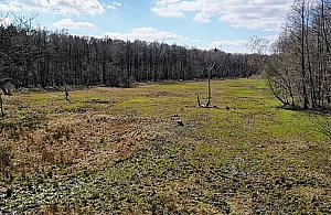 Pomysł na weekend w Warszawie: spacer na Kalinową Łąkę
