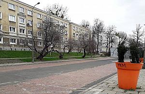 Pusty teren przy ruchliwej ulicy. "To nie parking, to skwer"