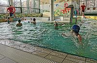 Bezp�atne p�ywanie w Pingwinie. Czas na g�osowanie