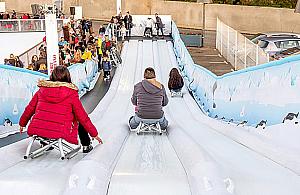 Małe Zakopane latem i zimą na Bielanach? "Zbudujmy syntetyczne lodowisko oraz stok"