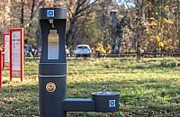 Radni chcą poidełka w popularnym parku. Czy mieszkańcy również?