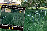 Stojaki rowerowe zniknęły w łące kwietnej
