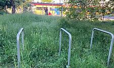 Stojaki rowerowe zniknęły w łące kwietnej