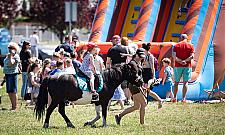 Za nami Dni Białołęki. Bawiło się kilka tysięcy mieszkańców