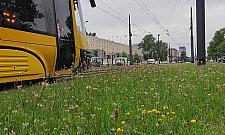 Aleja Jana Pawła II będzie cichsza i bardziej zielona