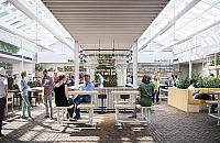 Były szklarnie, będą restauracje. Niezwykła inwestycja obok Wola Parku