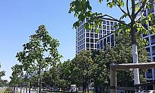 Buspas na Człuchowskiej został zlikwidowany. "Od początku był bez sensu"