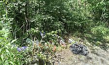 Gniazdo sroki już nie blokuje budowy parku na Tarchominie