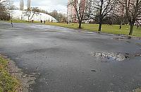 Park Olszyna: projekt dla ludzi odrzucony, dla pszczół - zaakceptowany