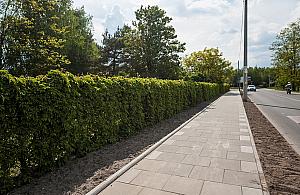 Przewodowa przed metamorfozą? "Piesi narażeni są na potrącenie"