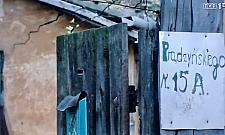 Kogo porucznik Borewicz szukał na Woli?