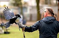 Zarzuty pedofilskie dla twórcy Wioski Żywej Archeologii. "Wielokrotnie obcował płciowo z osobą małoletnią"