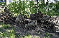 Strefa "dzikiej" przyrody w sąsiedztwie blokowiska i trasy szybkiego ruchu