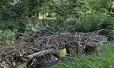 Strefa "dzikiej" przyrody w sąsiedztwie blokowiska i trasy szybkiego ruchu