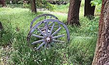 Replika armaty do likwidacji. Wbrew inicjatywie radnych