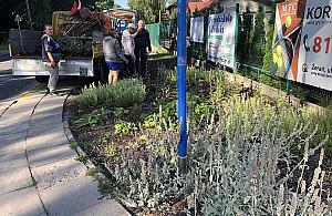 Absurdalna łączka obok przystanku przeszła do historii. Mieszkańcy chcą chodnika