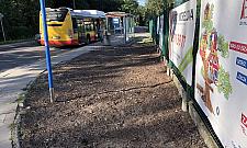 Absurdalna łączka obok przystanku przeszła do historii. Mieszkańcy chcą chodnika